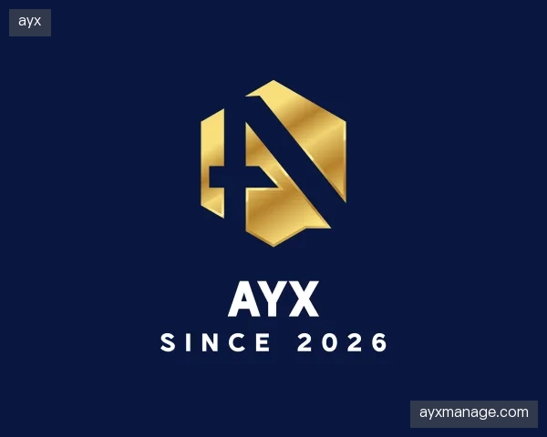 介绍ayx官网